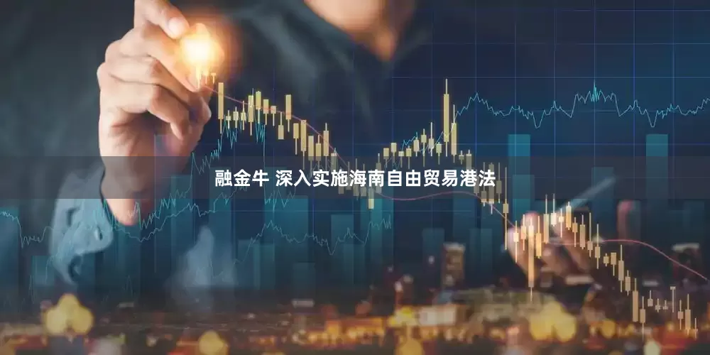 融金牛 深入实施海南自由贸易港法