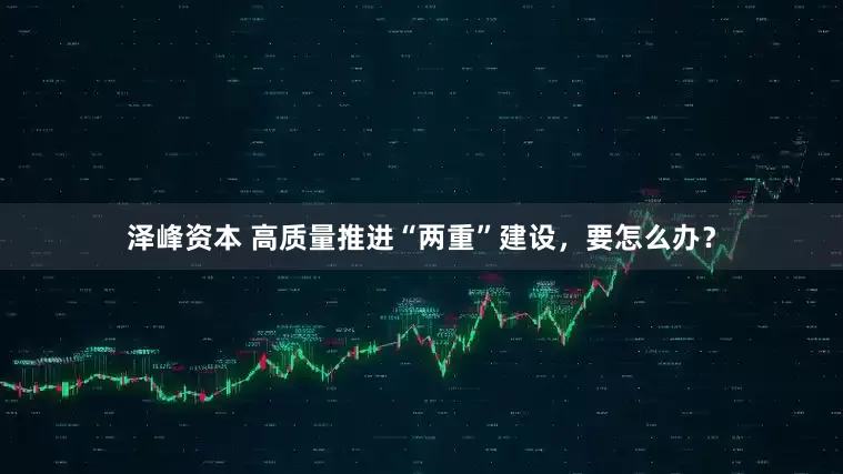 泽峰资本 高质量推进“两重”建设，要怎么办？