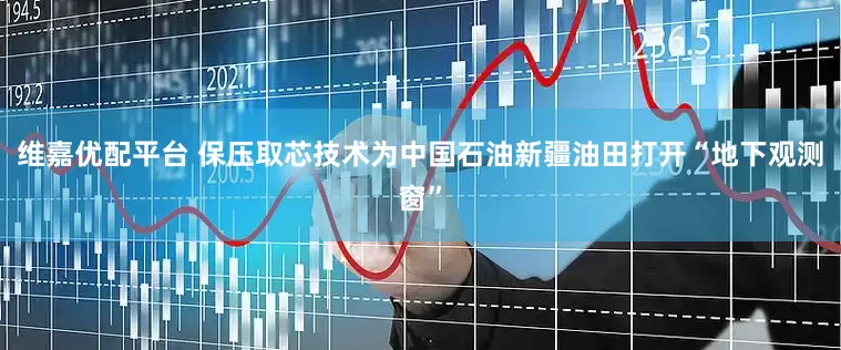 维嘉优配平台 保压取芯技术为中国石油新疆油田打开“地下观测窗”